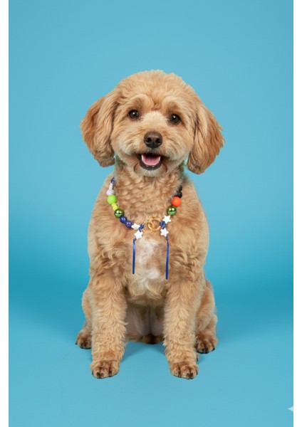 Köpek Kolyesi Pet Kolye Aksesuarı Dayanıklı Metal Malzeme Küçük ve Orta Irklar Için fiyatları