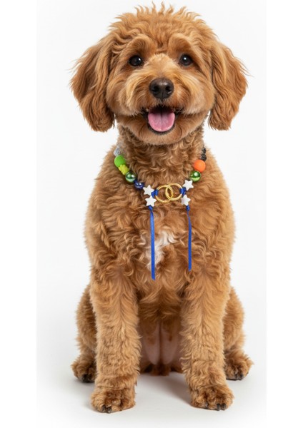 Köpek Kolyesi Pet Kolye Aksesuarı Dayanıklı Metal Malzeme Küçük ve Orta Irklar Için modelleri