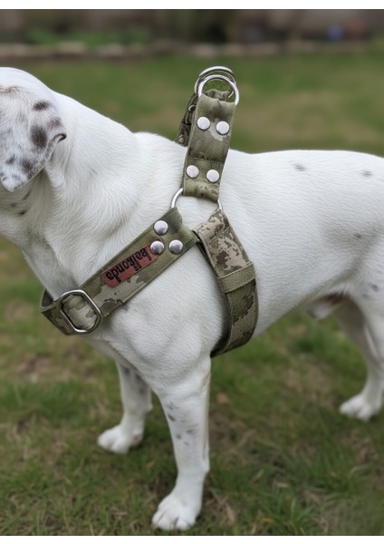 Köpek Göğüs Tasması Orta ve Büyük Irk Ayarlamalı Kolon Kordon Dog Harness Kamuflaj