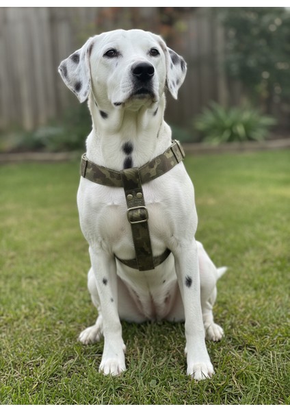 Köpek Göğüs Tasması Orta ve Büyük Irk Ayarlamalı Kolon Kordon Dog Harness Kamuflaj modelleri