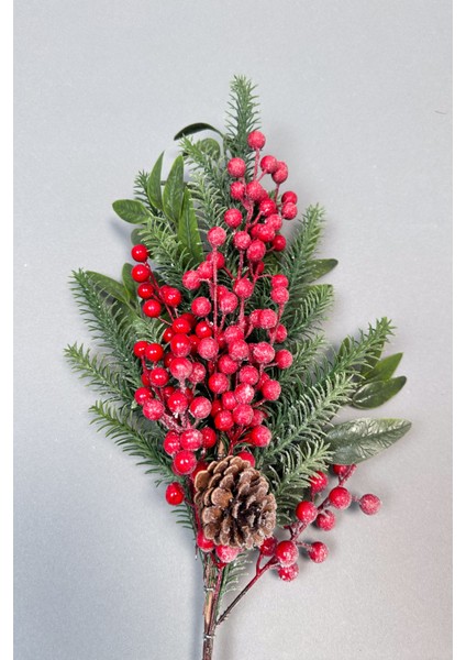 Karlı Kokina 80 cm 120 Meyveli ve Kozalaklı Yılbaşı Bitkisi Tek Dal