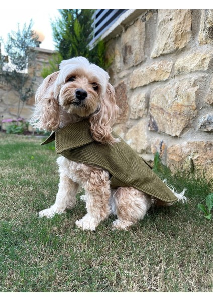 Olivetta %100 Yün Yeşil Köpek Kabanı -Köpek Montu