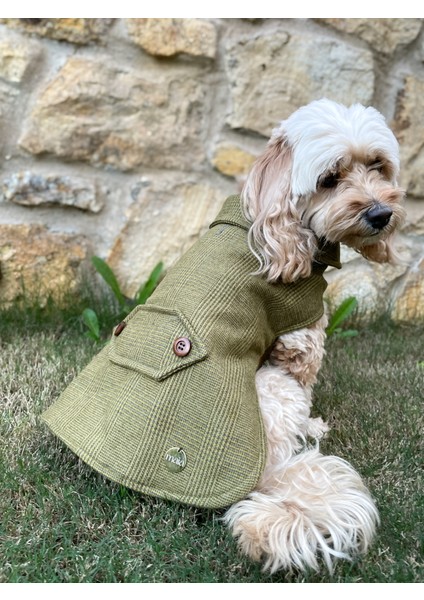 Olivetta %100 Yün Yeşil Köpek Kabanı -Köpek Montu fiyatları
