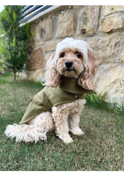 Olivetta %100 Yün Yeşil Köpek Kabanı -Köpek Montu modelleri