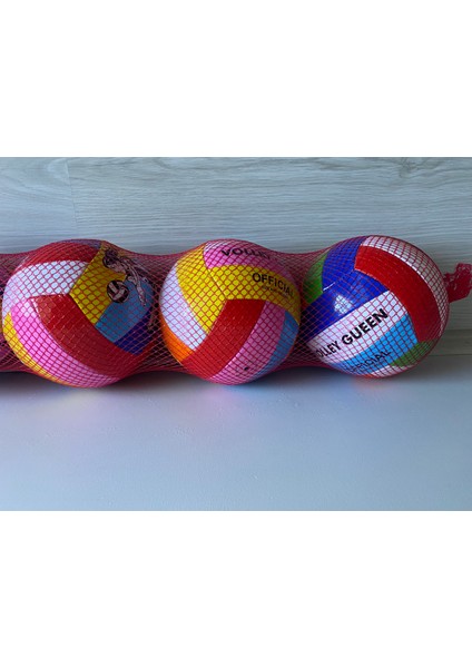 Voleybol Topu Dikişli No:5 modelleri