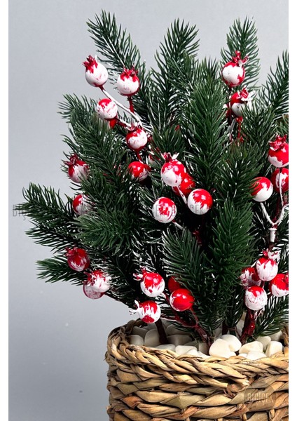 Kokina 30 cm 8 Meyveli Yılbaşı Bitkisi Tek Dal