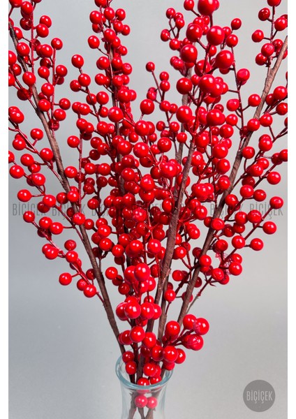 Kokina 80 cm 108 Meyveli Yılbaşı Bitkisi Tek Dal fiyatları