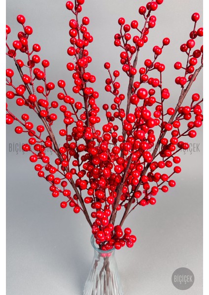 Kokina 80 cm 108 Meyveli Yılbaşı Bitkisi Tek Dal modelleri