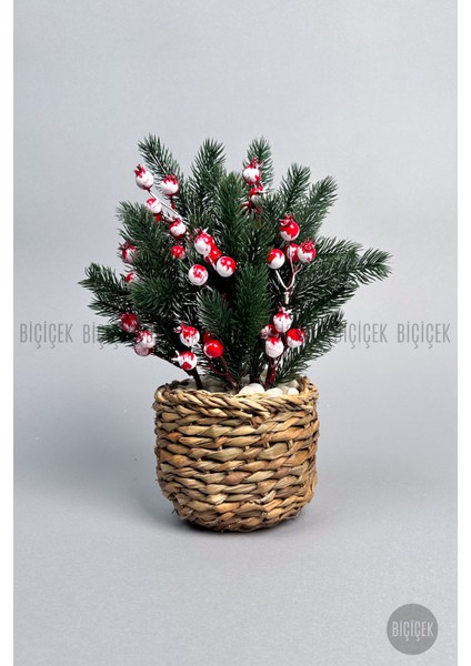 Kokina 30 cm 8 Meyveli Yılbaşı Bitkisi Tek Dal modelleri