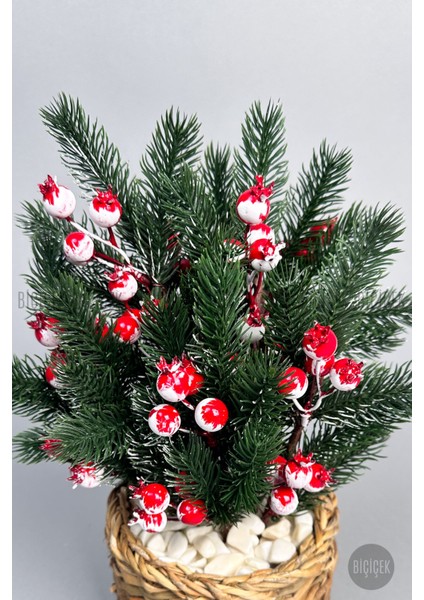 Kokina 30 cm 8 Meyveli Yılbaşı Bitkisi Tek Dal fırsatları