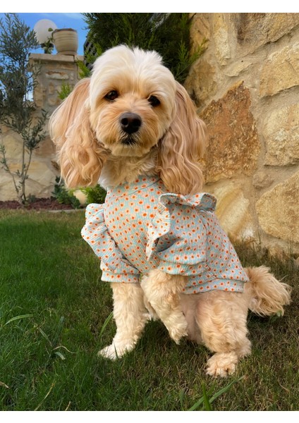 Florette Çiçekli Fırfırlı Köpek Sweatshirt