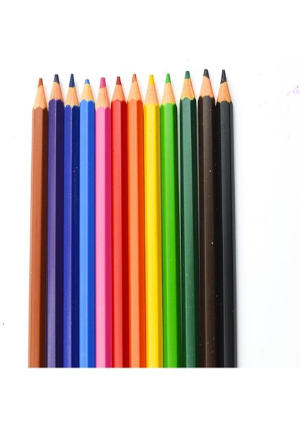 Prime 12'li Tam Boy Kuru Boya Kalemi Karton Kutu modelleri