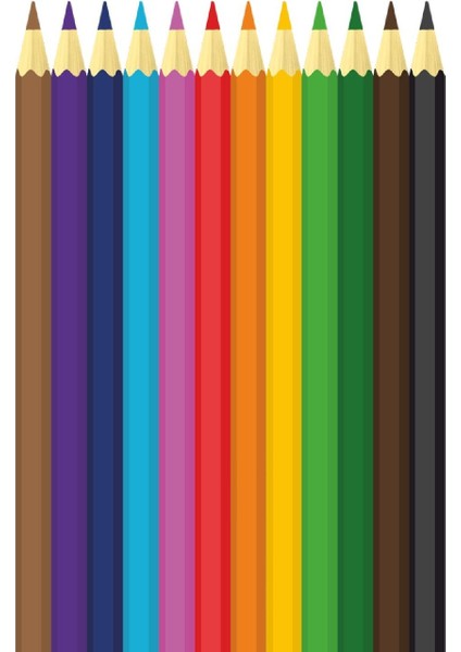 Prime 12'li Tam Boy Kuru Boya Kalemi Karton Kutu indirimleri