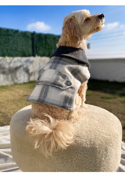 Grey Düğme Detaylı Gri Kaşe Köpek Kabanı modelleri