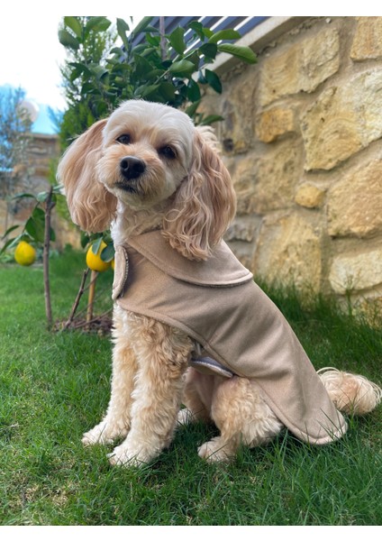 Écru Çift Taraflı Su Geçirmez Süet Köpek Kabanı -Köpekmontu