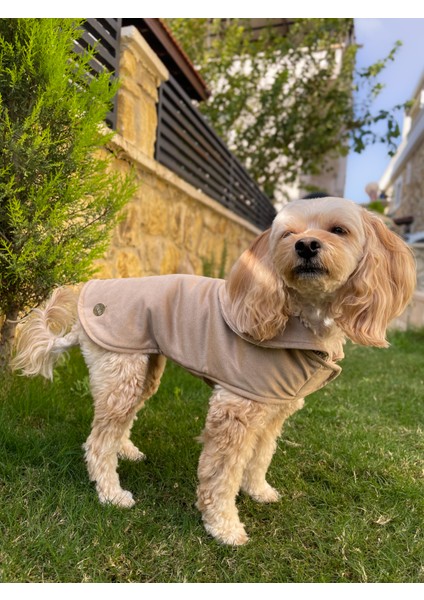 Écru Çift Taraflı Su Geçirmez Süet Köpek Kabanı -Köpekmontu fiyatları