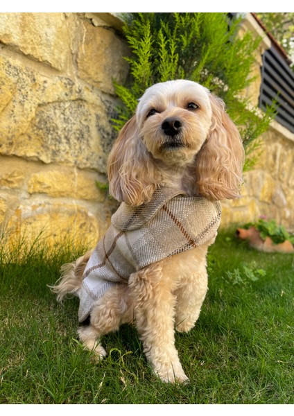 Écru Çift Taraflı Su Geçirmez Süet Köpek Kabanı -Köpekmontu modelleri