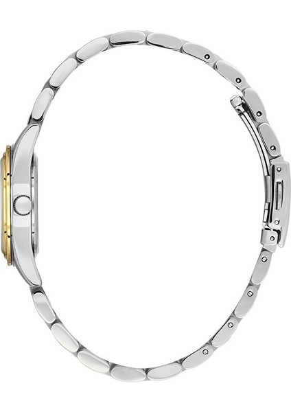 Danıel Kleın Kadın Kol Saati DKE.6.10944.4 fiyatları