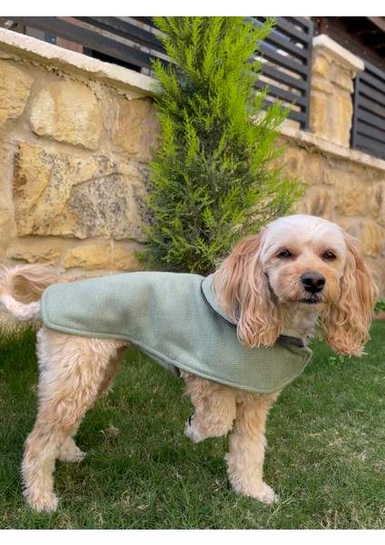 Mint Soft Kaşe Yeşil Köpek Kabanı -Köpek Montu