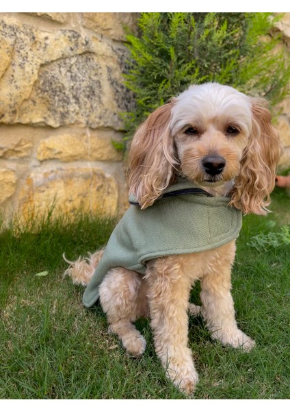 Mint Soft Kaşe Yeşil Köpek Kabanı -Köpek Montu fiyatları
