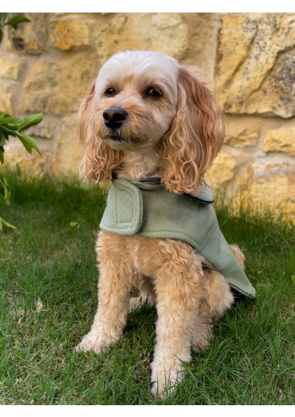 Mint Soft Kaşe Yeşil Köpek Kabanı -Köpek Montu modelleri