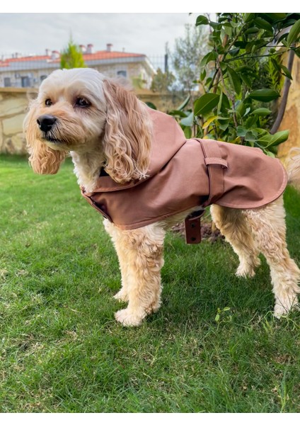 Caramel Kapüşonlu Köpek Trençkot -Köpek Montu fiyatları