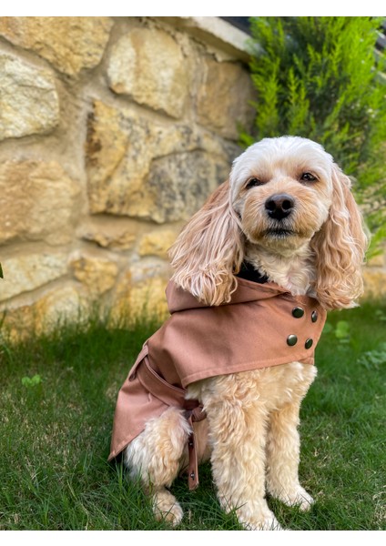 Caramel Kapüşonlu Köpek Trençkot -Köpek Montu modelleri