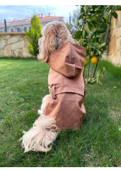 Caramel Kapüşonlu Köpek Trençkot -Köpek Montu indirimleri