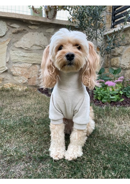 Écru Soft Pamuklu Köpek Sweatshirt