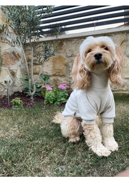 Écru Soft Pamuklu Köpek Sweatshirt fiyatları