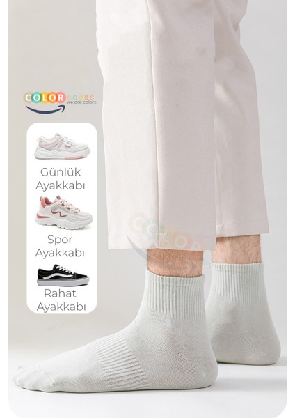 7 Çift Günlük Orta Konç Pamuk Erkek Çorap (Ter Emici) fiyatları