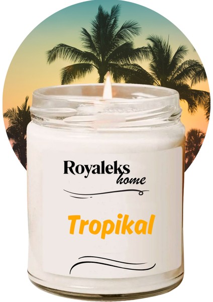 Doğal Özel Seri Kokulu Dekoratif Kavanoz Mum 210 cc - Tropikal Esans - Ryl