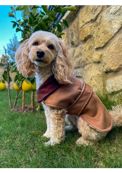 Brown Sugar Çift Taraflı Süet Ceket - Köpek Montu