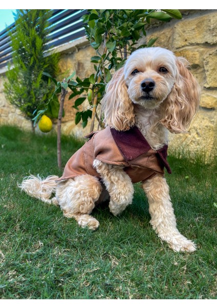 Brown Sugar Çift Taraflı Süet Ceket - Köpek Montu modelleri