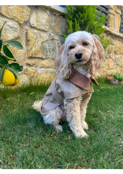 Mocha Çift Taraflı Köpek Deri Ceket