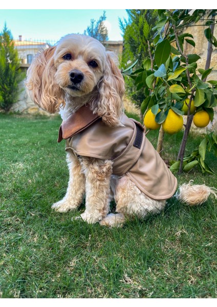 Mocha Çift Taraflı Köpek Deri Ceket fiyatları