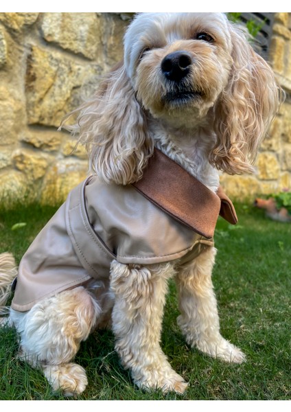 Mocha Çift Taraflı Köpek Deri Ceket modelleri