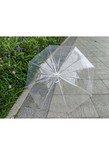 Şeffaf Şemsiye Rüzgâra Dayanıklı Uzun Saplı Orta Boy Yağmur Şemsiyesi Unisex Otomatik 8 Tel modelleri