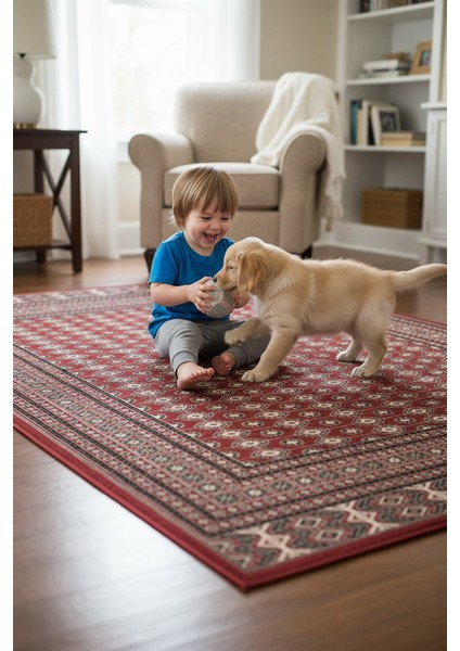 Afgan Motifli Halı | Kaymaz Taban | Yıkanabilir Modern Salon ve Koridor Halısı fırsatları