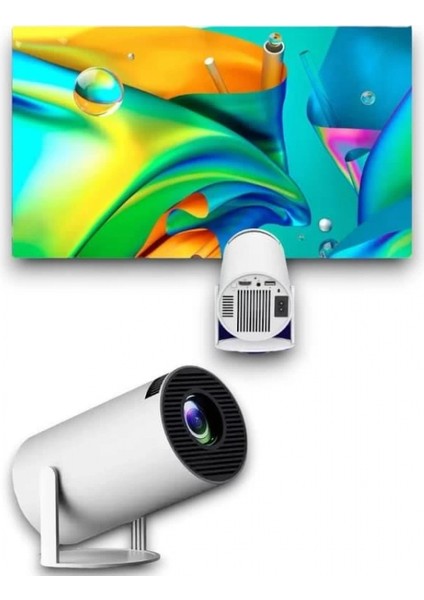 Ayaklı Projeksiyon modelleri