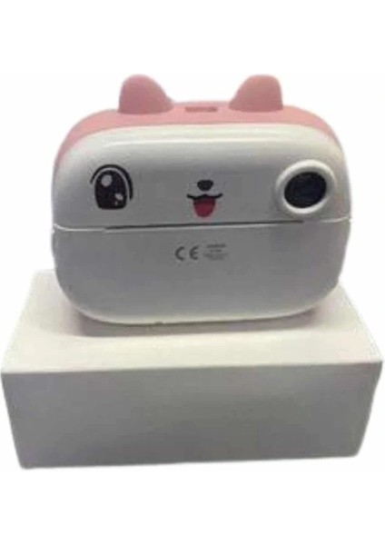 Dijital Hd Video Kamera Çocuk Fotoğraf Makinesi Anlık Termal Rulo modelleri
