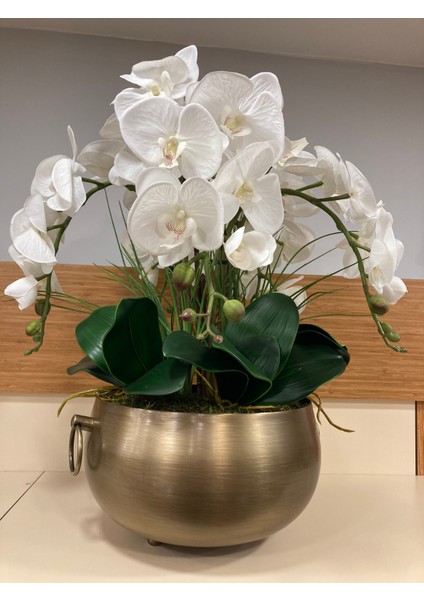 Yapay Islak Beyaz Orkide Döküm Pirinç Kulplu Model Saksı Içi Arajman Yükseklik 55 cm Çap 28 cm