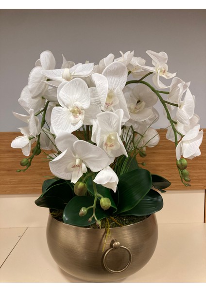 Yapay Islak Beyaz Orkide Döküm Pirinç Kulplu Model Saksı Içi Arajman Yükseklik 55 cm Çap 28 cm fiyatları