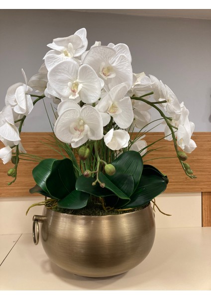 Yapay Islak Beyaz Orkide Döküm Pirinç Kulplu Model Saksı Içi Arajman Yükseklik 55 cm Çap 28 cm modelleri