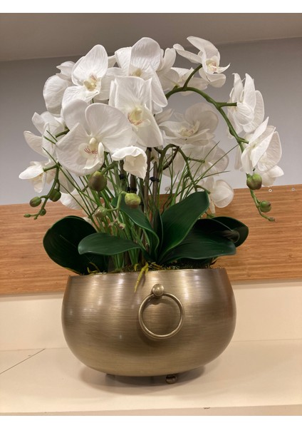 Yapay Islak Beyaz Orkide Döküm Pirinç Kulplu Model Saksı Içi Arajman Yükseklik 55 cm Çap 28 cm fırsatları