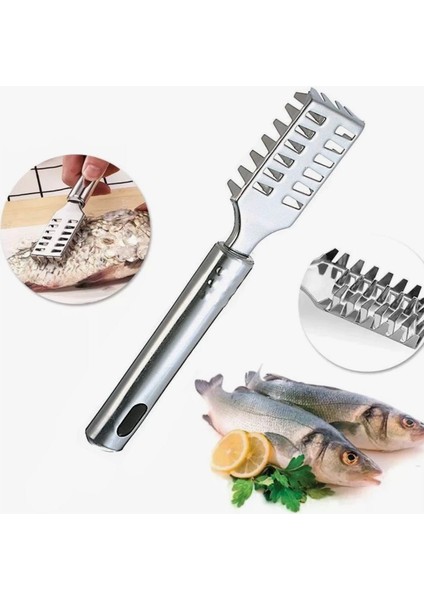 Balık Pulu Temizleme