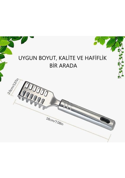 Balık Pulu Temizleme fiyatları