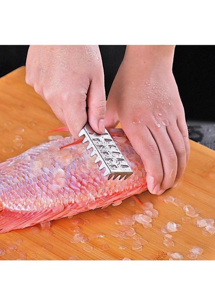 Balık Pulu Temizleme modelleri