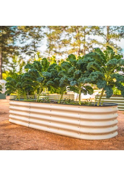 Yükseltilmiş Bahçe Yatağı Seti Metal 195X60X43CM Modüler Sebze Yatağı (6 Farklı Kurulum Olanağına Sahip)