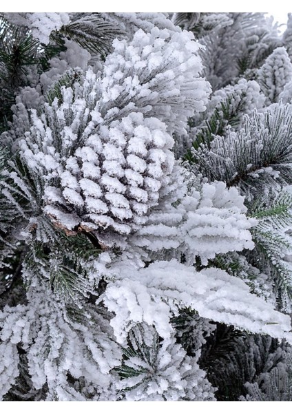 Arves Kar Kaplı Yılbaşı Ağacı 270CM fırsatları
